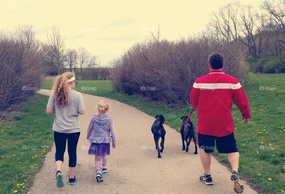 Dog Walk