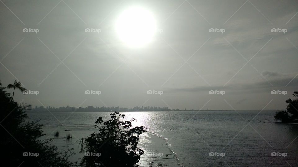 vista da Baía do Guajará a partir das Ilha das Onças.