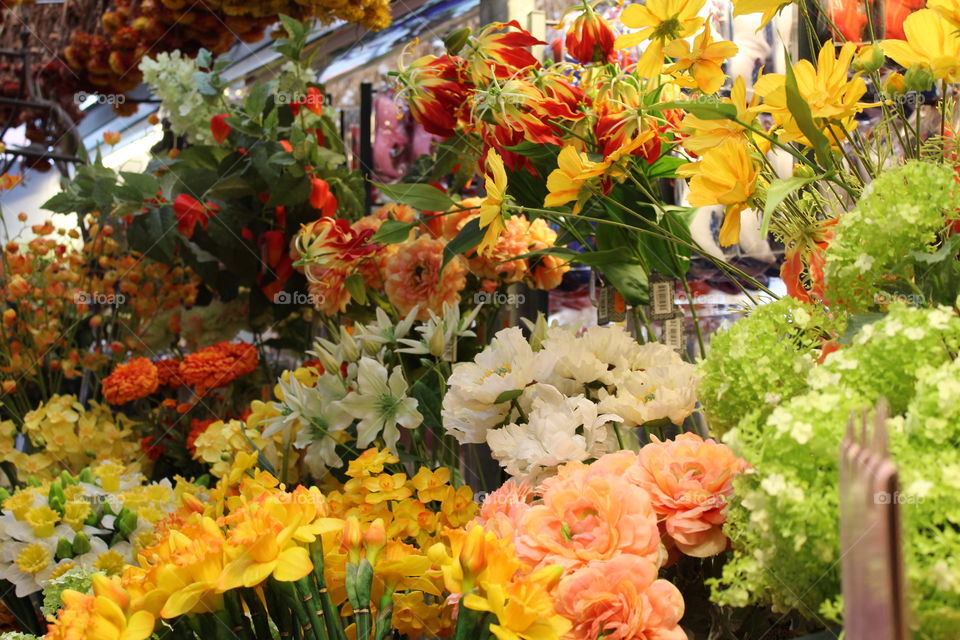 Beautiful flowers at the flower market in Amsterdam. So many colours and an amazing smell 