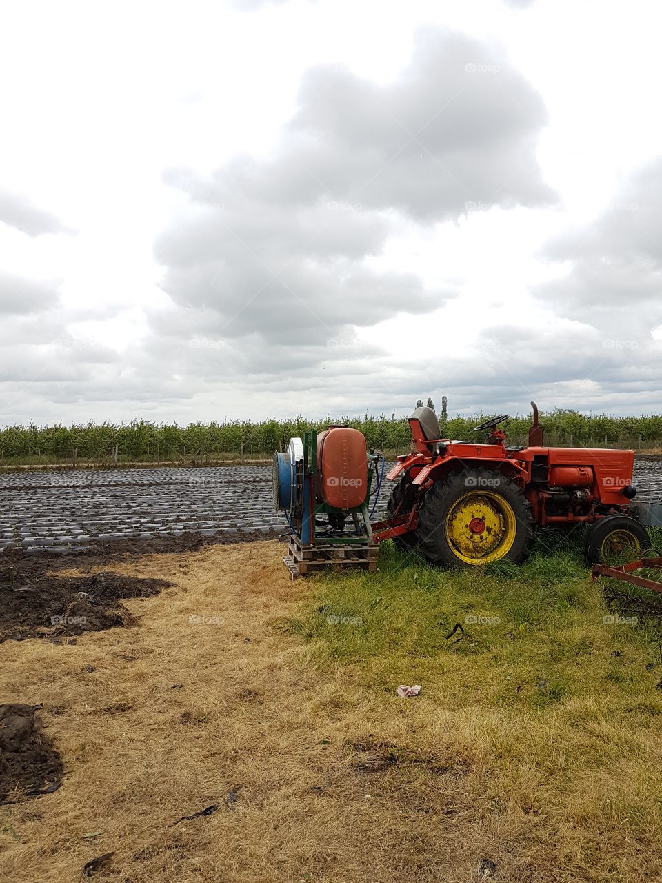 tractor in the field