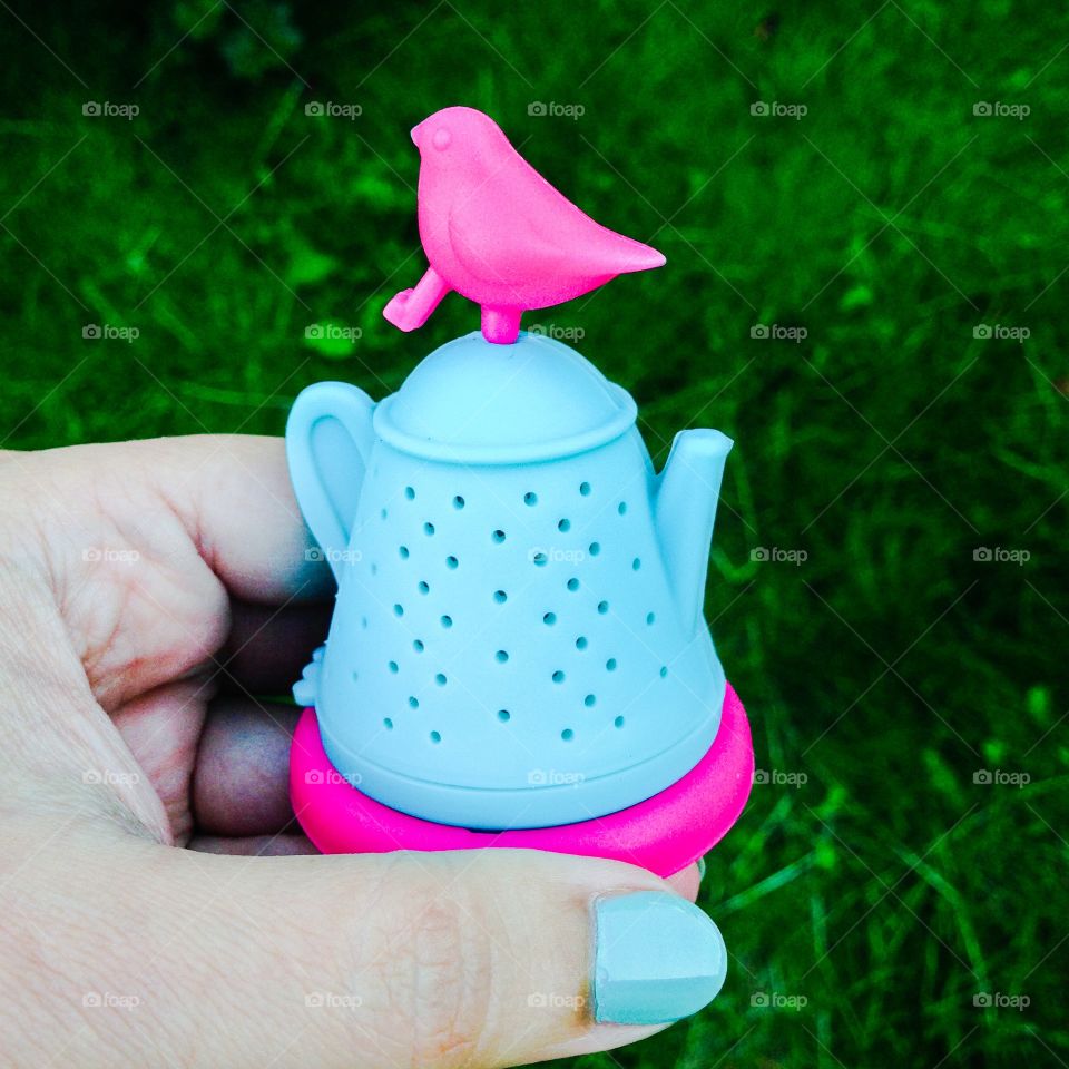 bird teastrainer