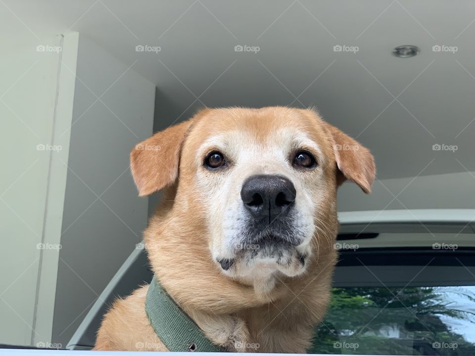 Arrogant face while thinking of something 