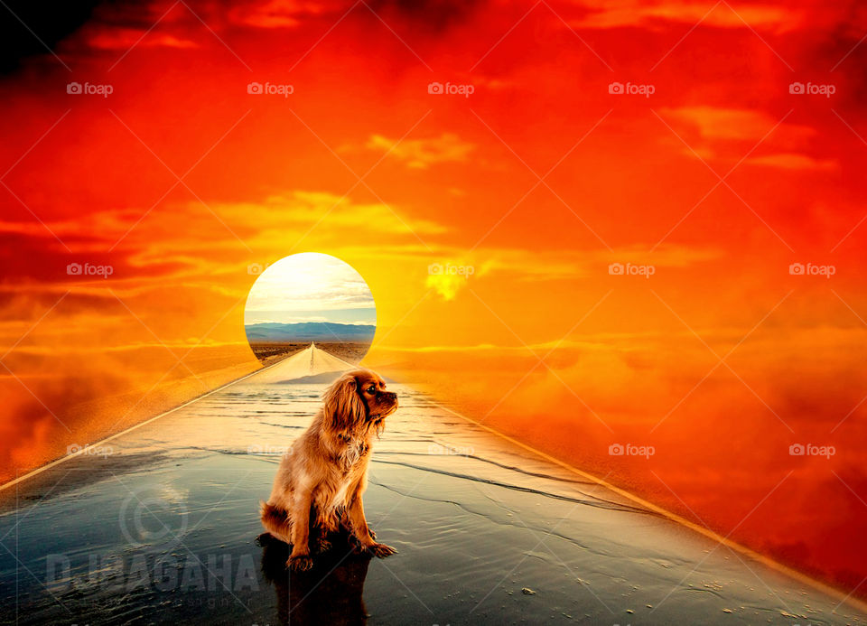 #fantasy #manipulation #ps #adobe #photoshop #edits