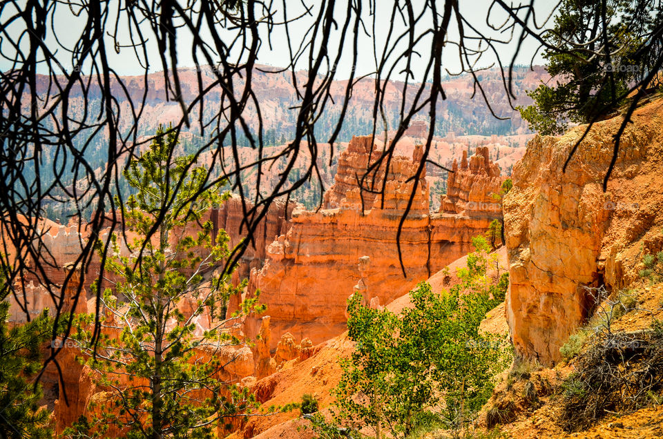 Bryce Canyon 5