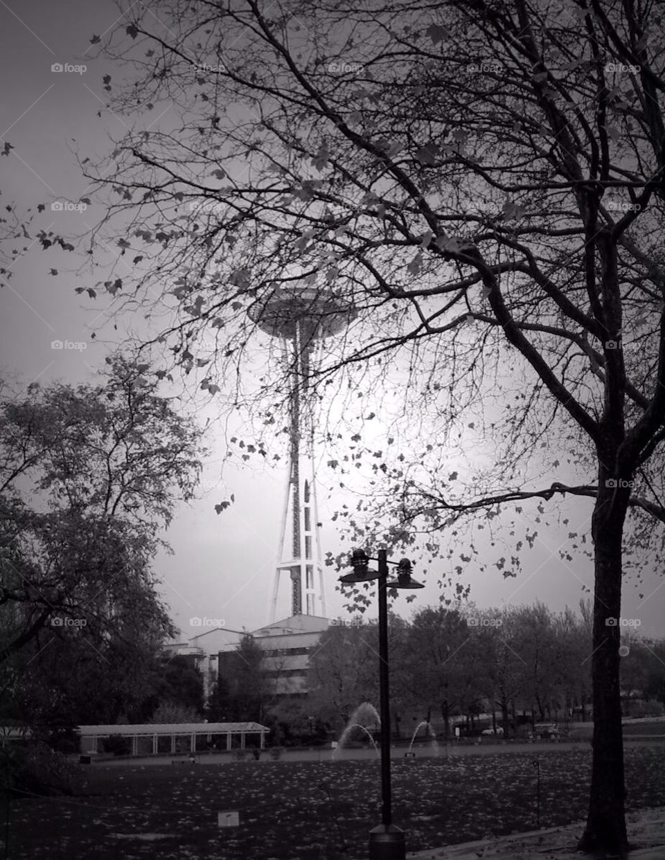 Space needle