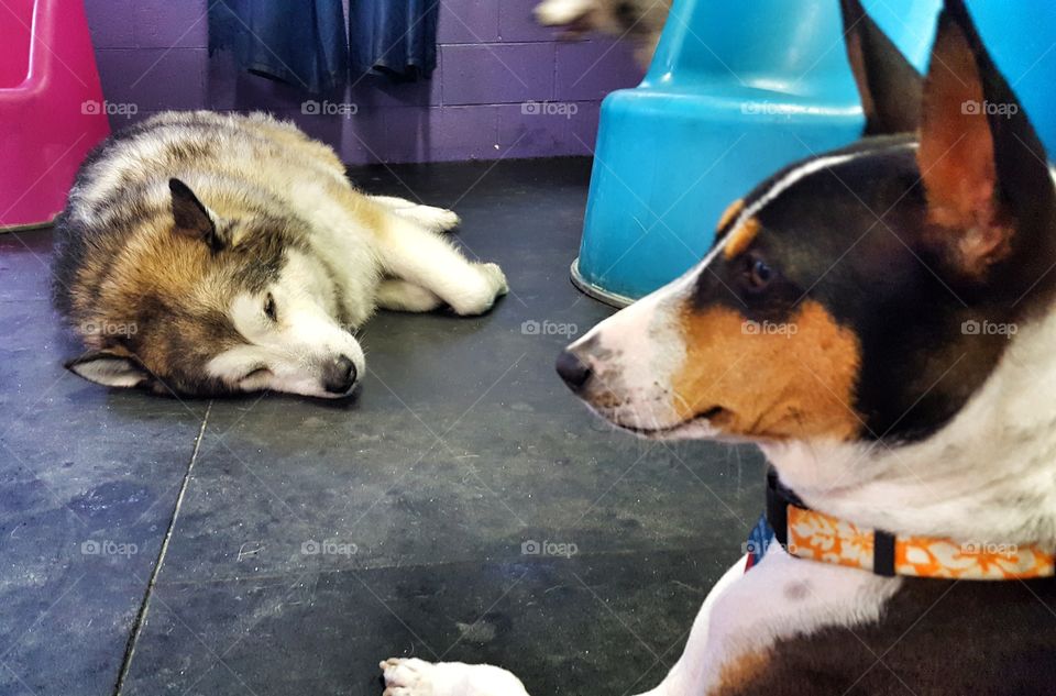 Nap time for some...