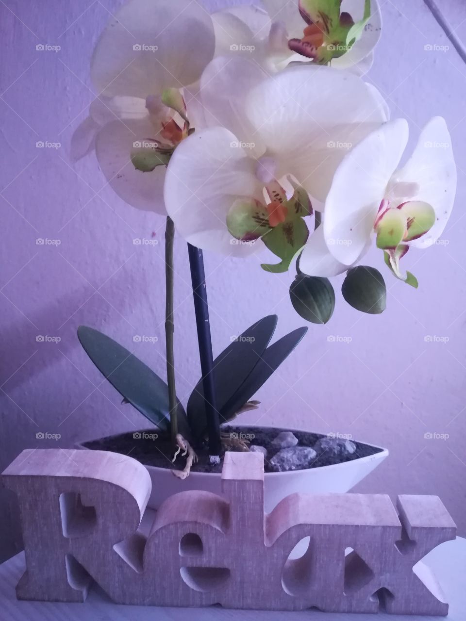 Blume Orchidee Entspannung