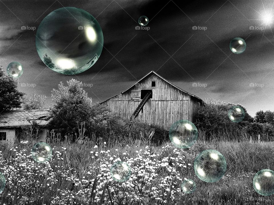 Bubbles and and old Indiana barn