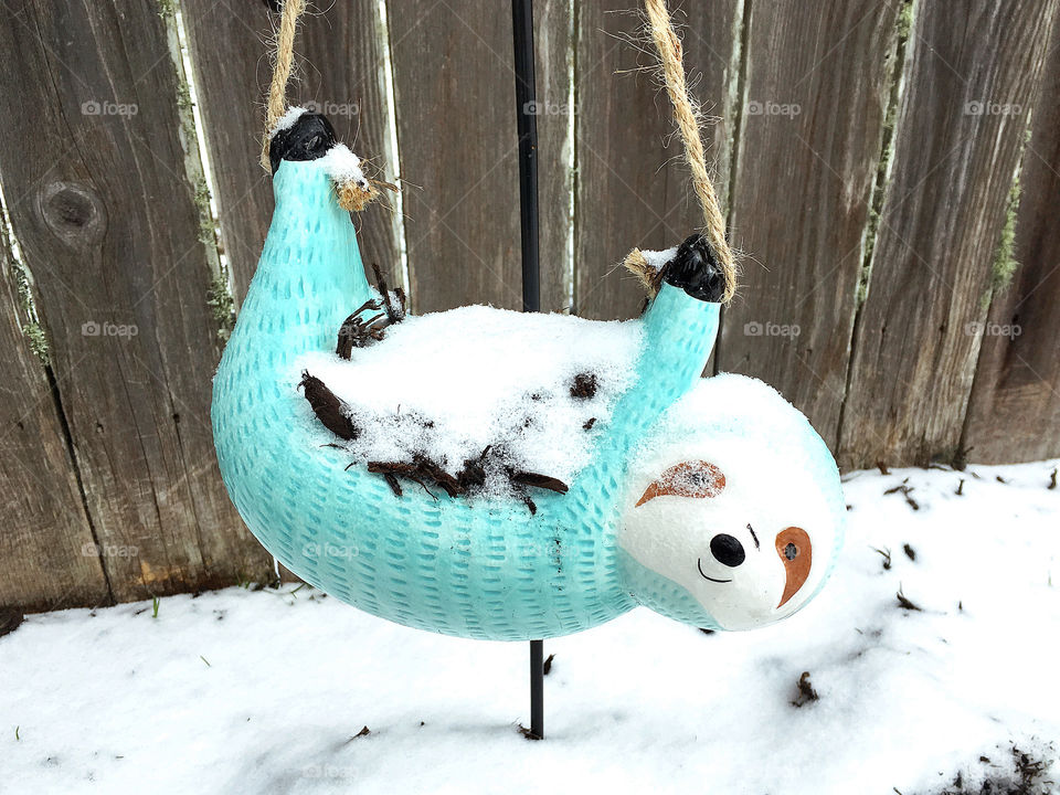 Bright blue flower pot shaped like hanging sloth covered in snow