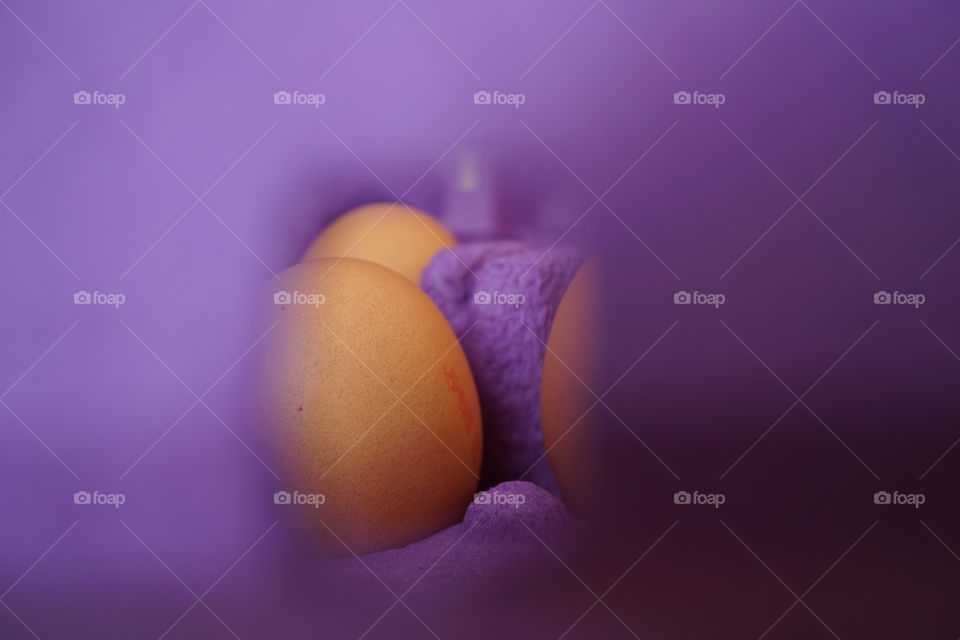 Egg on purple carton