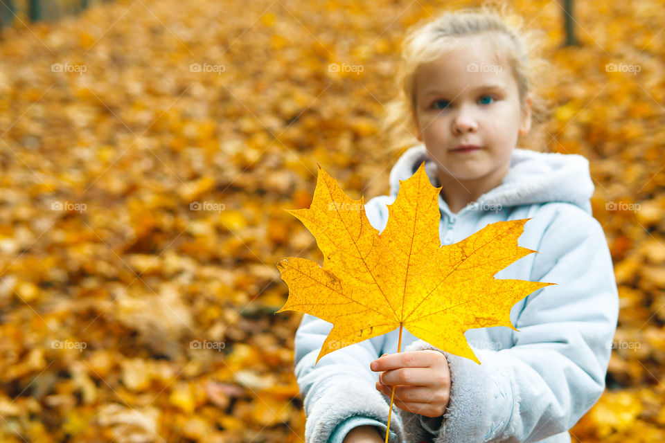 Yellow fall season