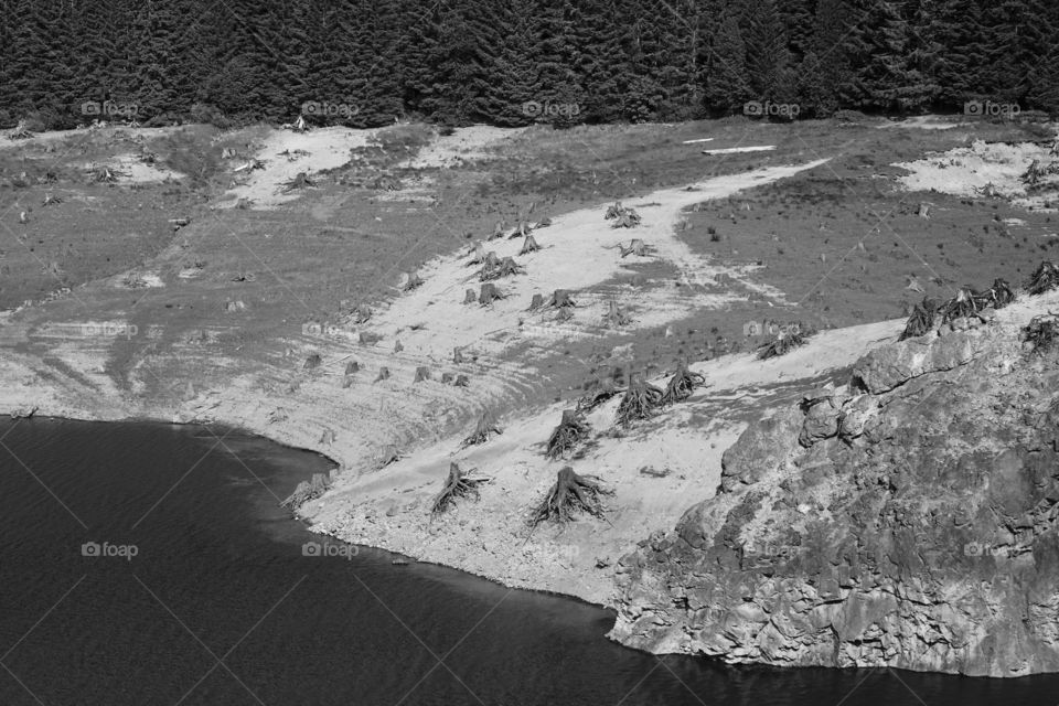 Cougar Reservoir in the forests of Oregon 