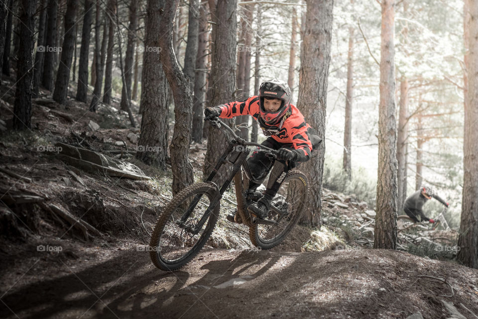 Biker, Wood, Bike, Wheel, Adventure