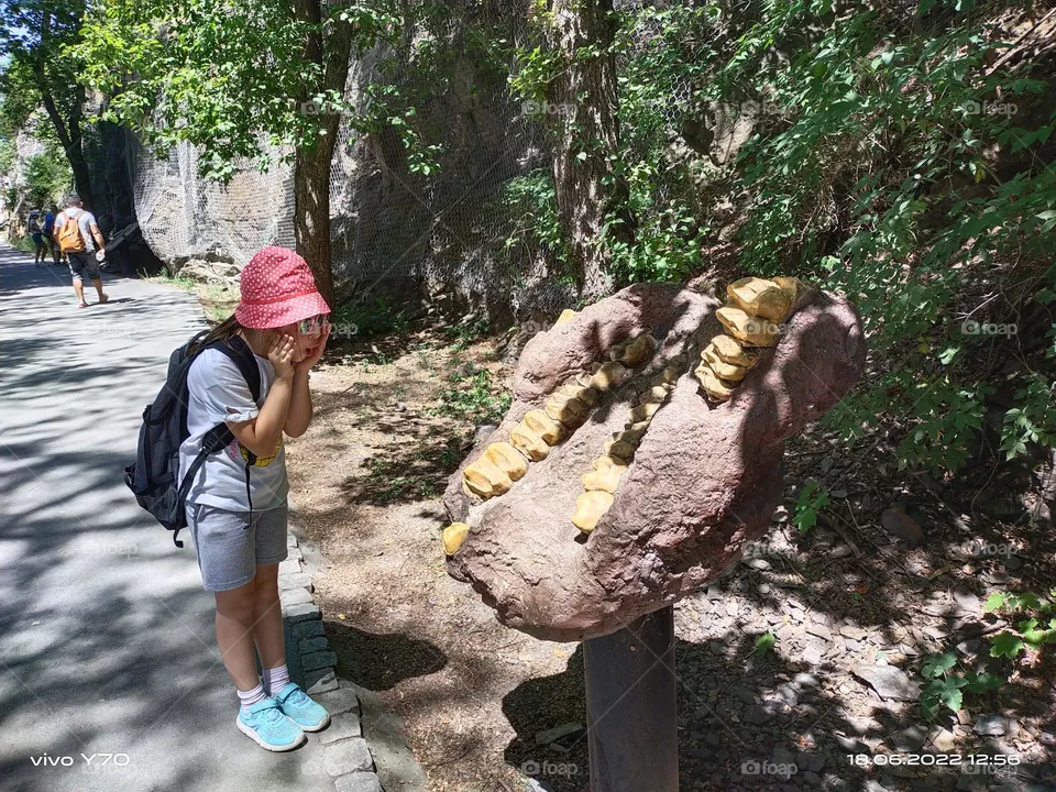 Dinosaur
