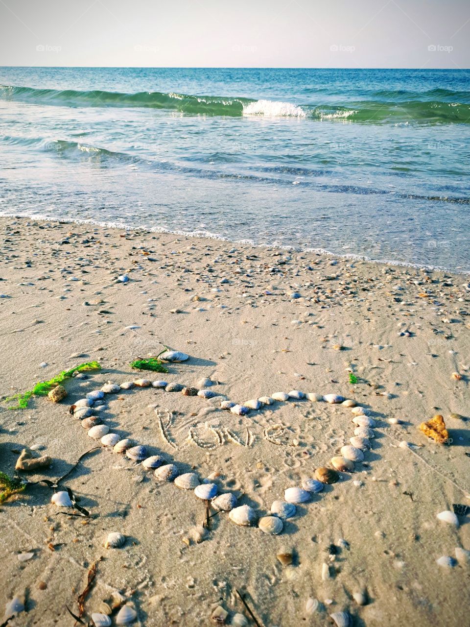 Heart from shells on the sand