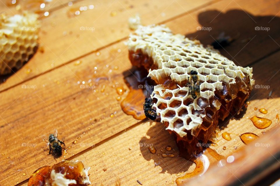 Spilled honey