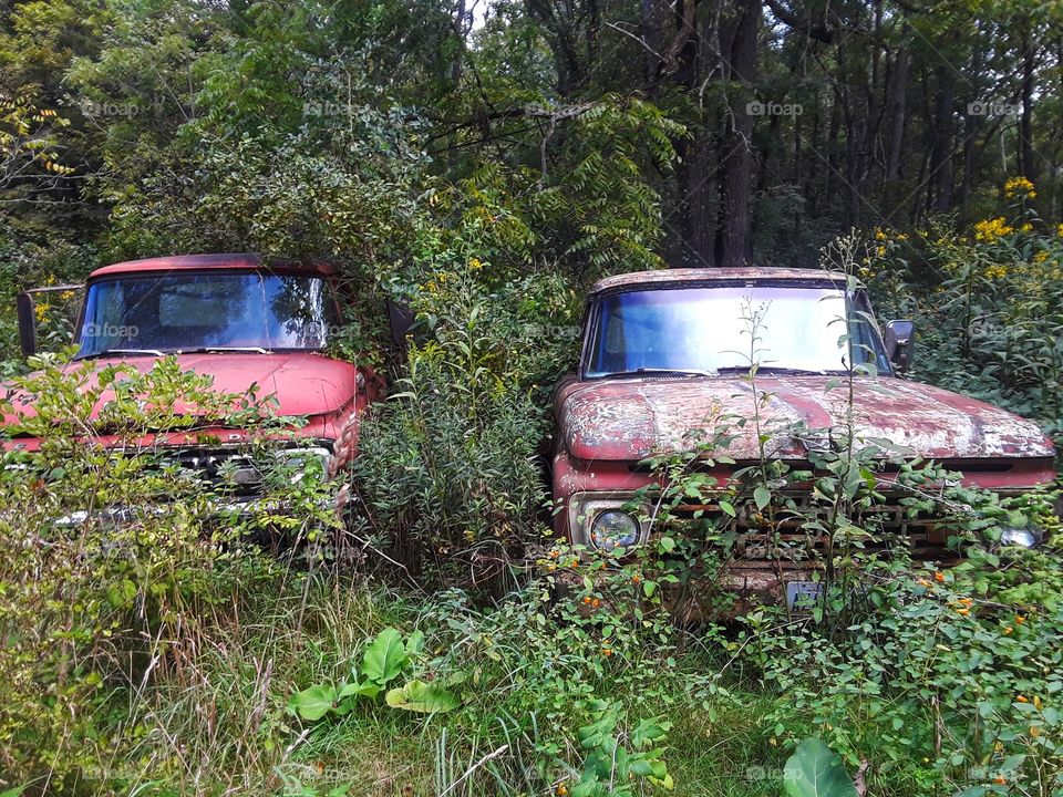 abandoned trucks