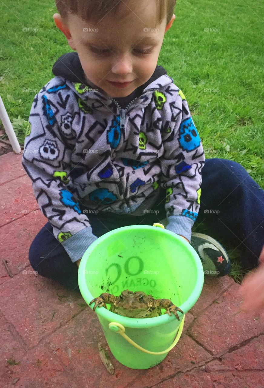 Small boy sitting with frog in bucket