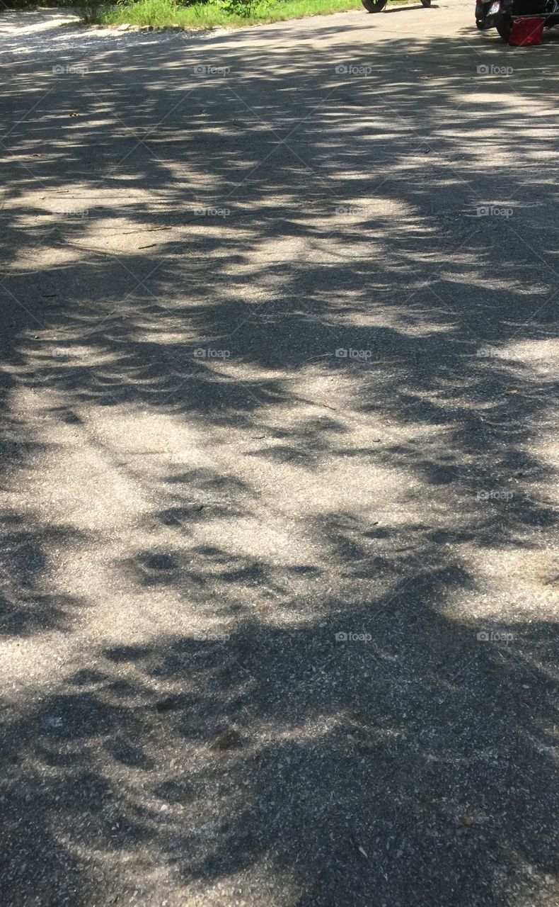 Total Eclipse Shadows