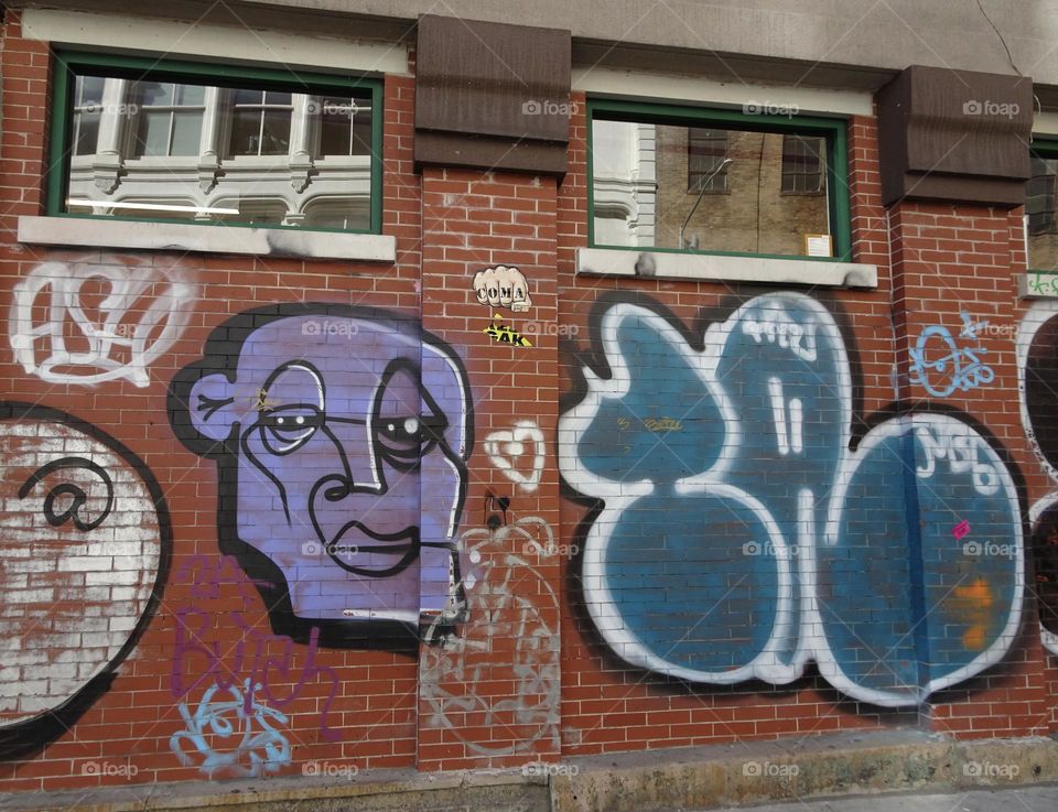 Graffiti and murals at Canal Street New York 