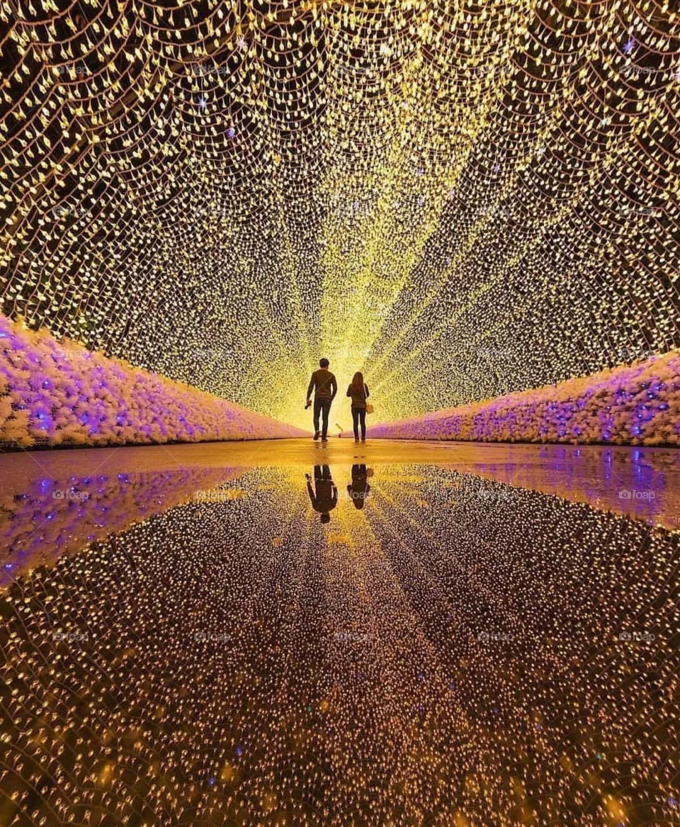 colourfully lights
