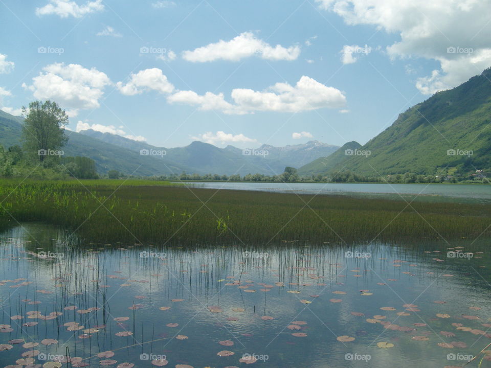 Plav lake Montenegro landscape seen from the lake shore in summer