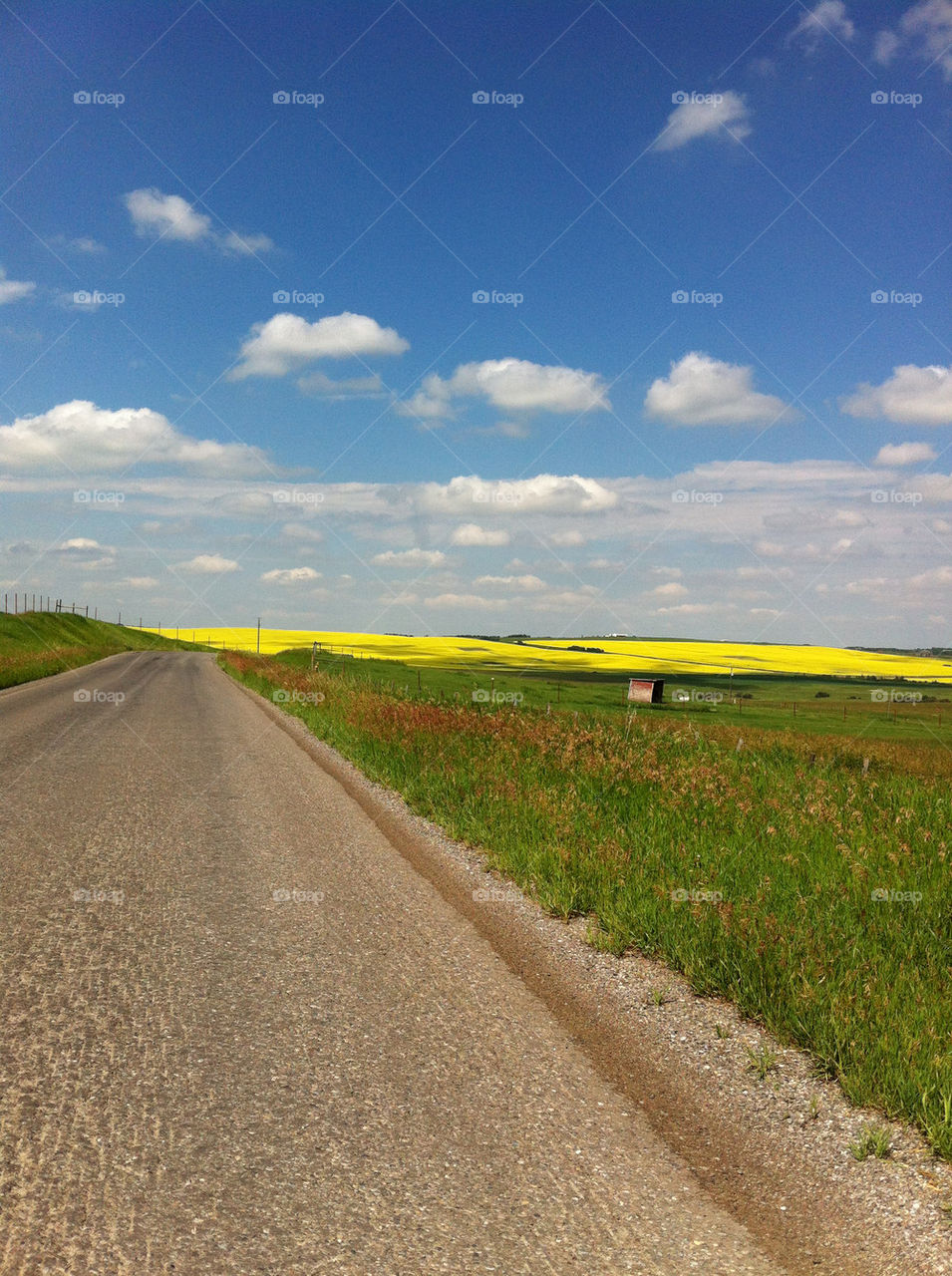 sky blue summer road by patsyjk