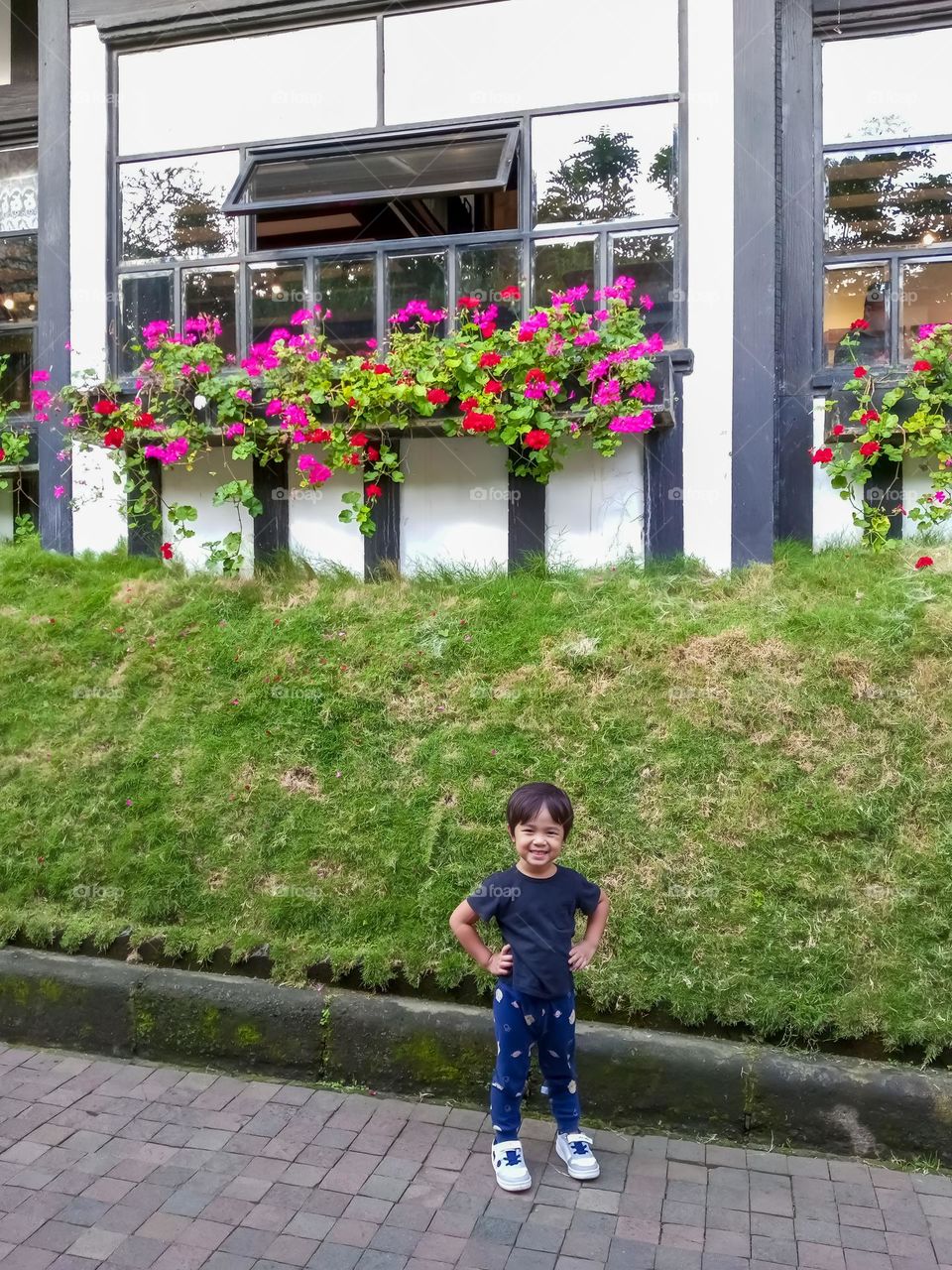 handsome asian boys stand in front of various design plants