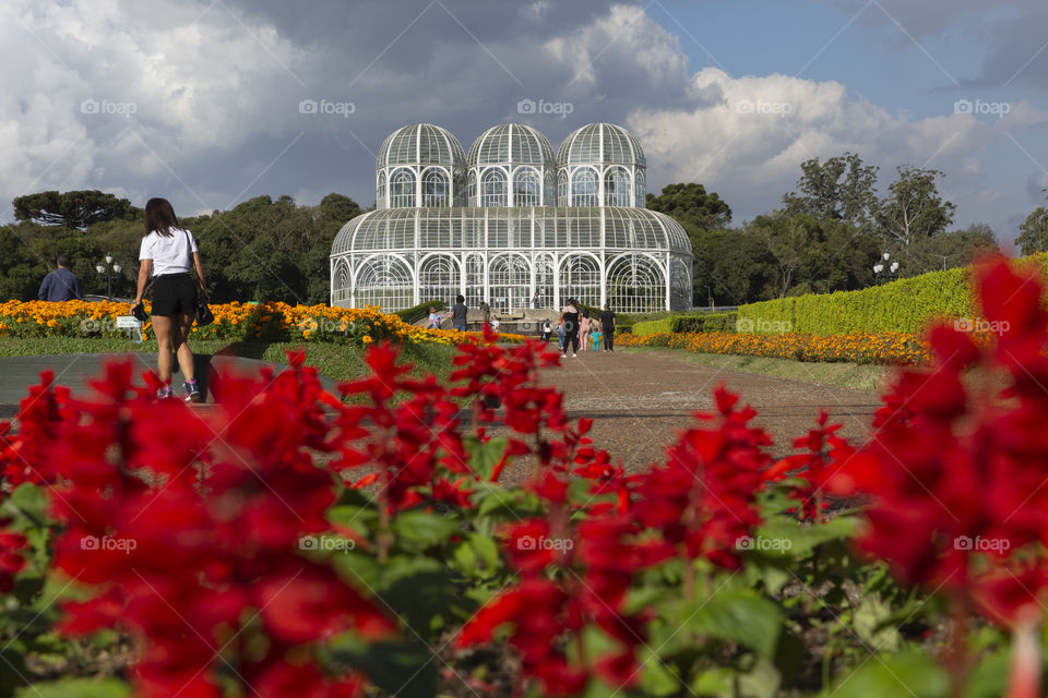 Colors of Spring - Botanical garden of Curitiba.