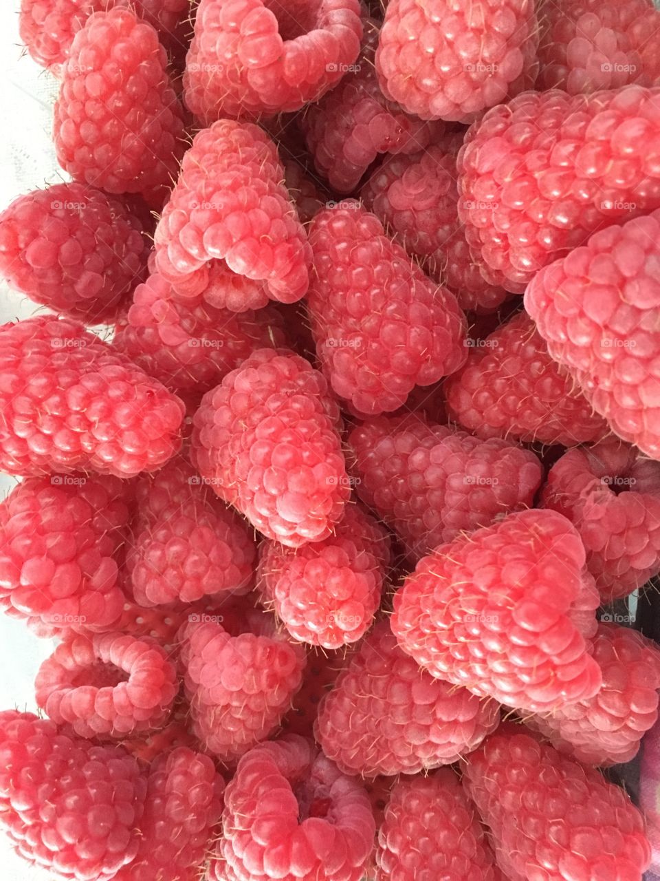 Red Raspberries