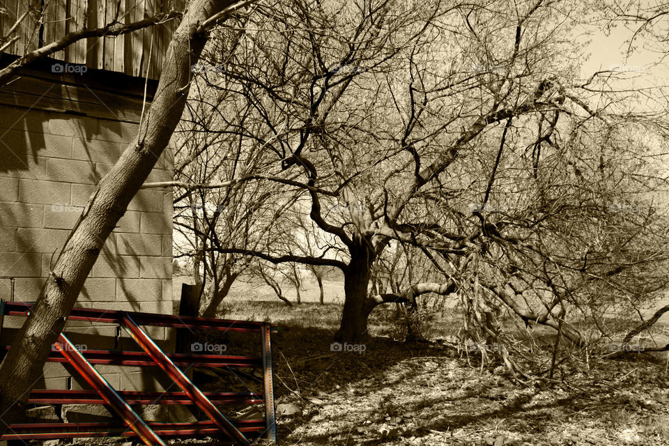 Take the Nostalgic Way Home ( Series )