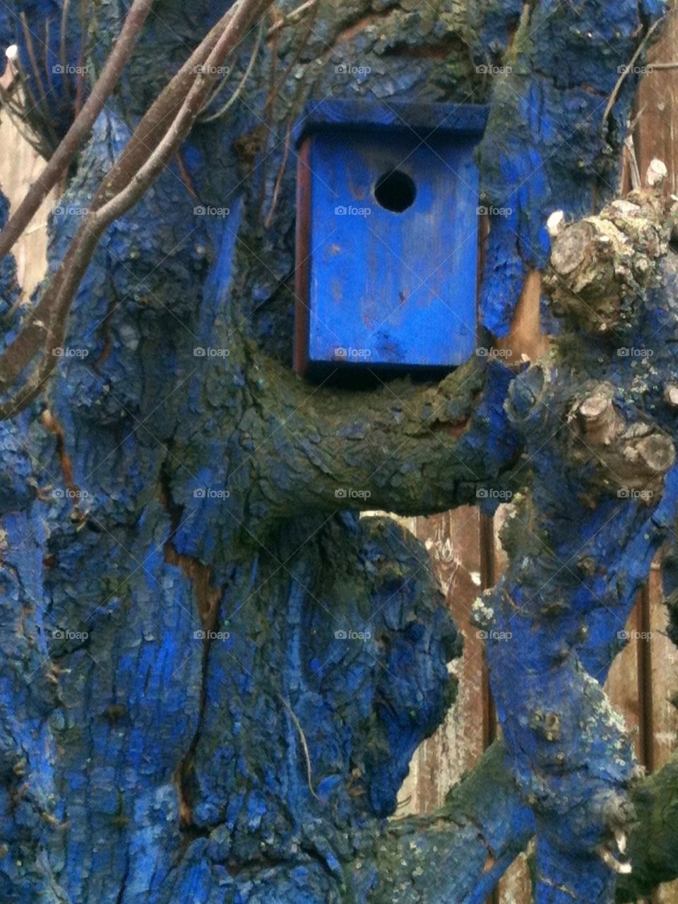 sweden blue halmstad nestingbox by lenacarlsson