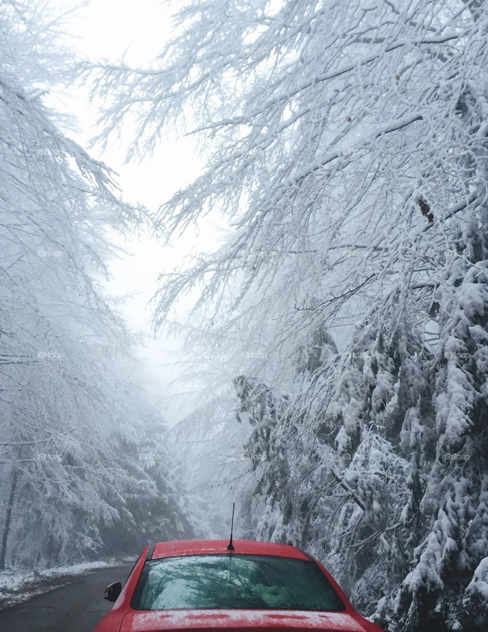 Red car on snowy road with snowy forest ahead