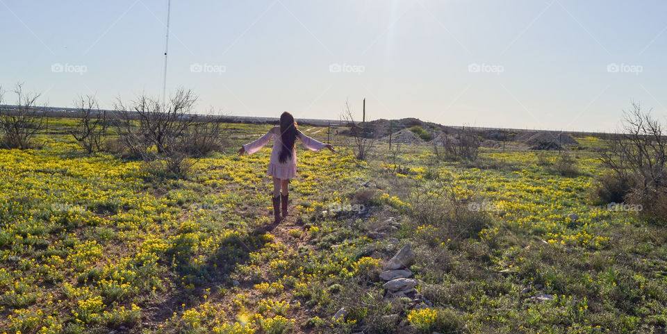 Landscape, Nature, Field, Grass, Outdoors