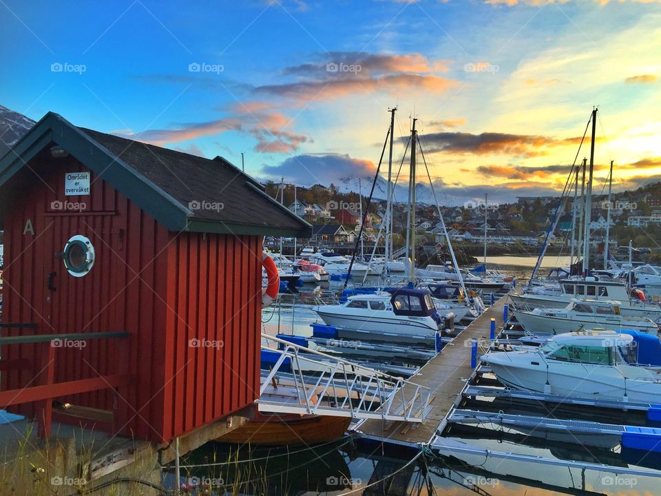 Lena Hopr . Narvik. Harbour. 