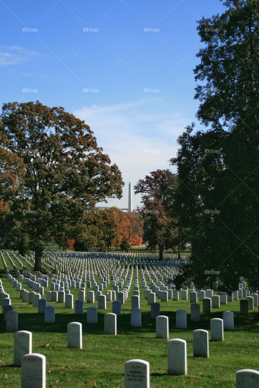 Washington peace site