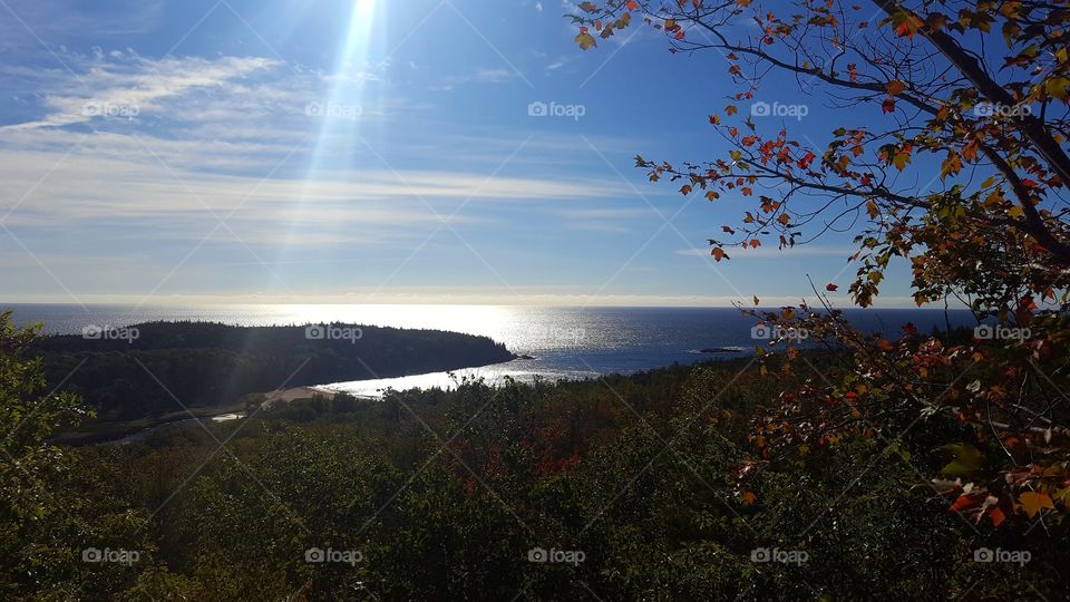 Scenic view of sea