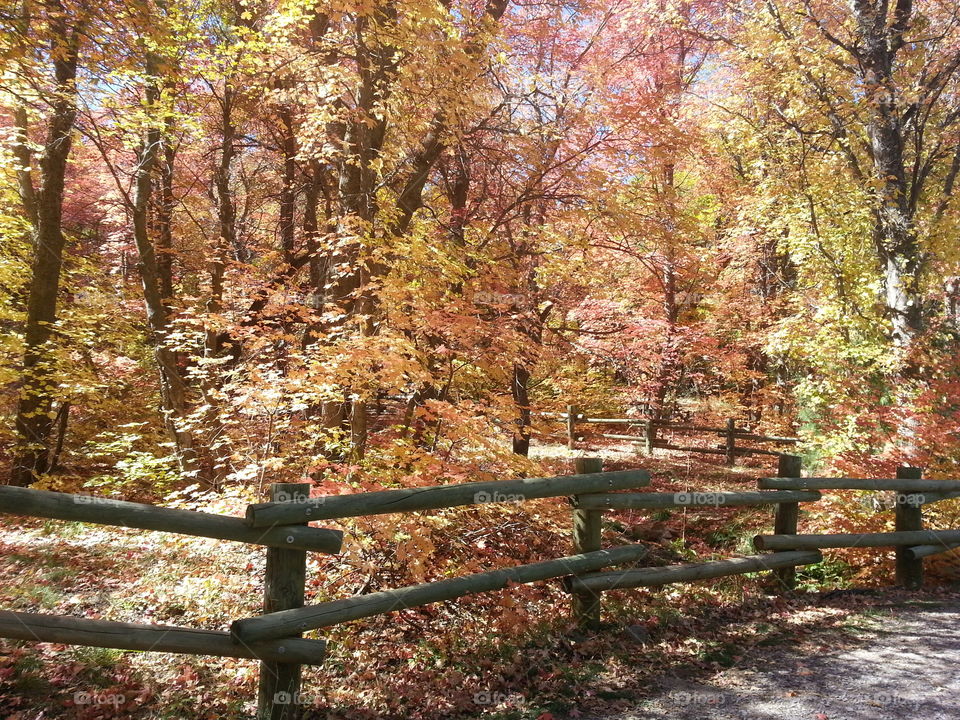 Autumn hiking trail