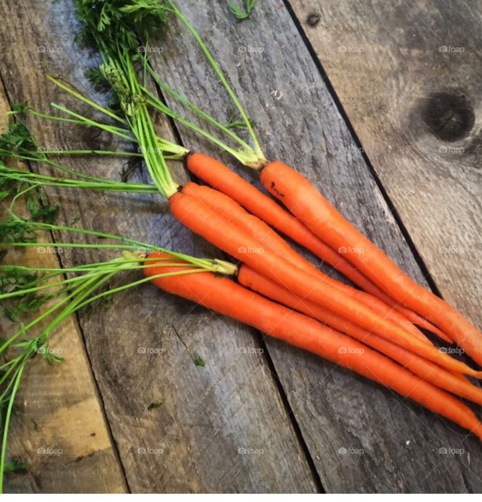 Bunch of Carrots on Barnwood