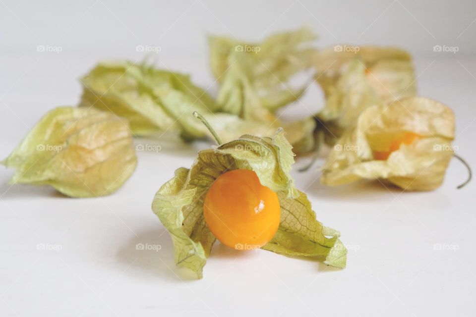 Close up of physalis berries