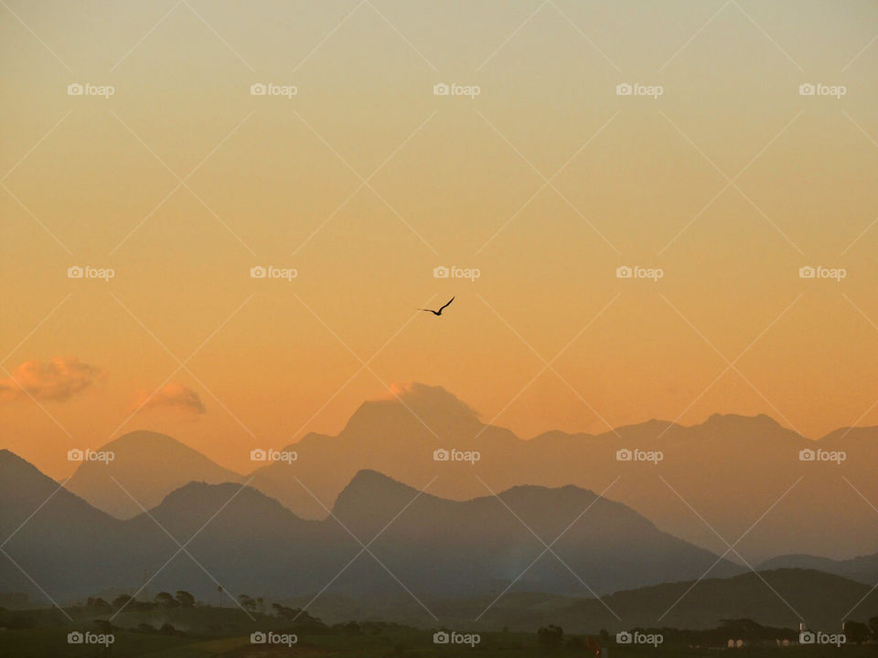 A amazing view makes me smile everyday. Mountains, sunset, a bird... ❣️