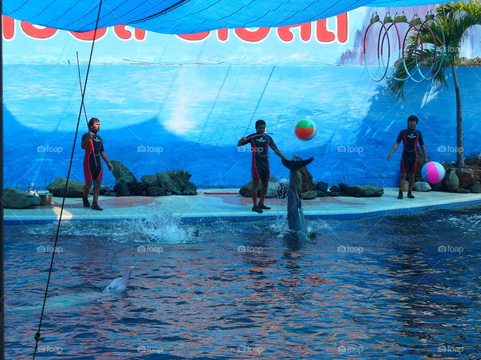 Water, Recreation, Swimming, Travel, Leisure