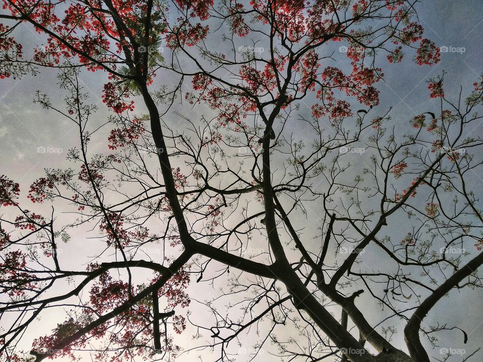 Show us your best photos