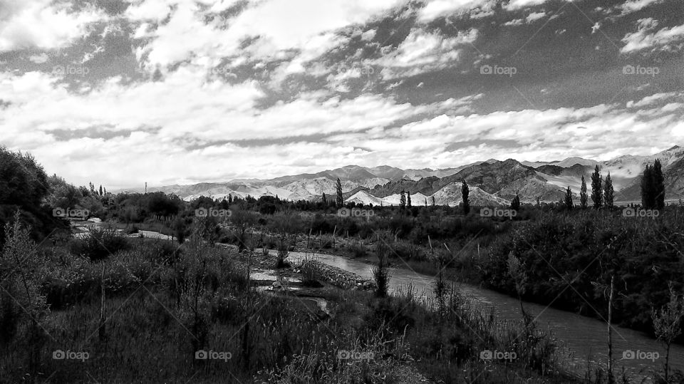 Amazing process to gather information as an observer who is happy enough just to be...