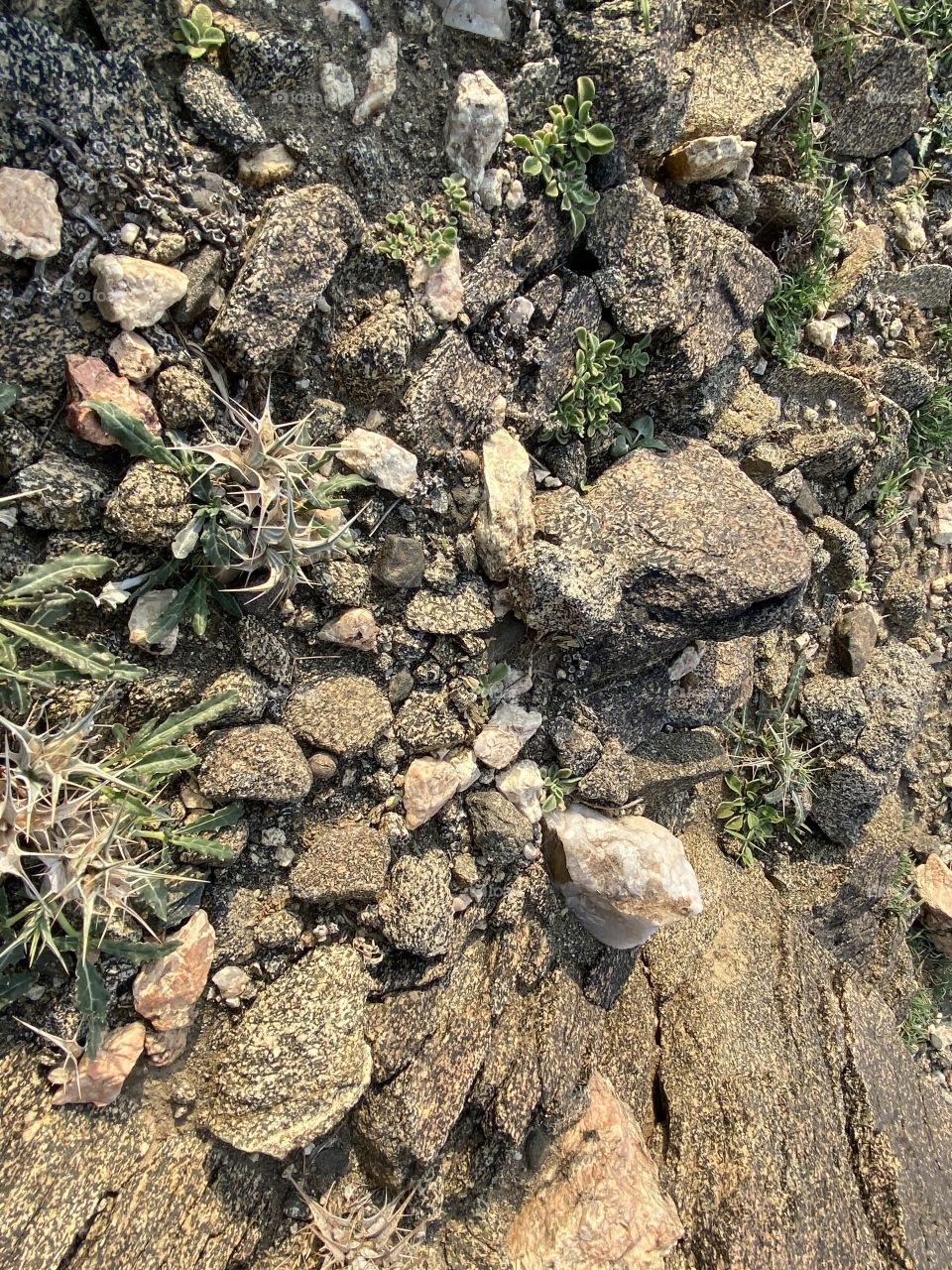 Beautiful weather in the desert 🏜