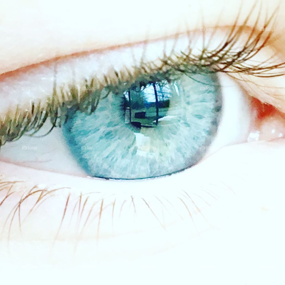 Closeup of eye 