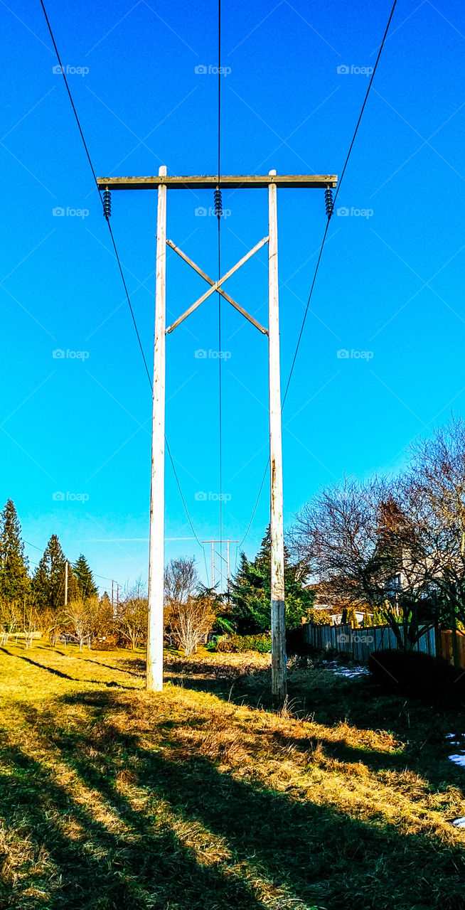 Tall Electric