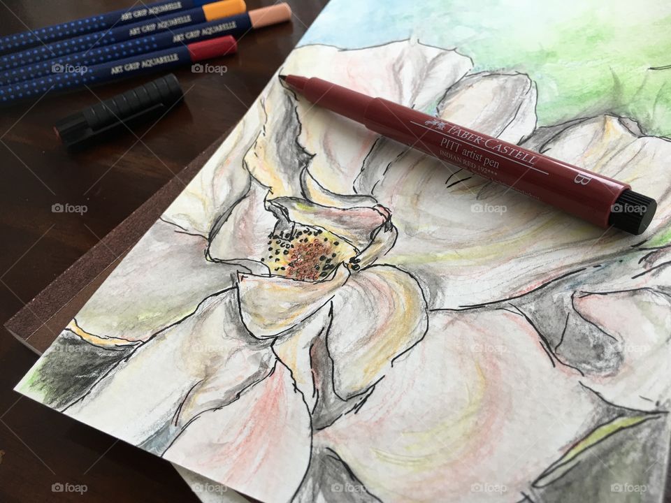 Flowers and nature colors Faber-Castell Aquarelle watercolor sketch art photography 