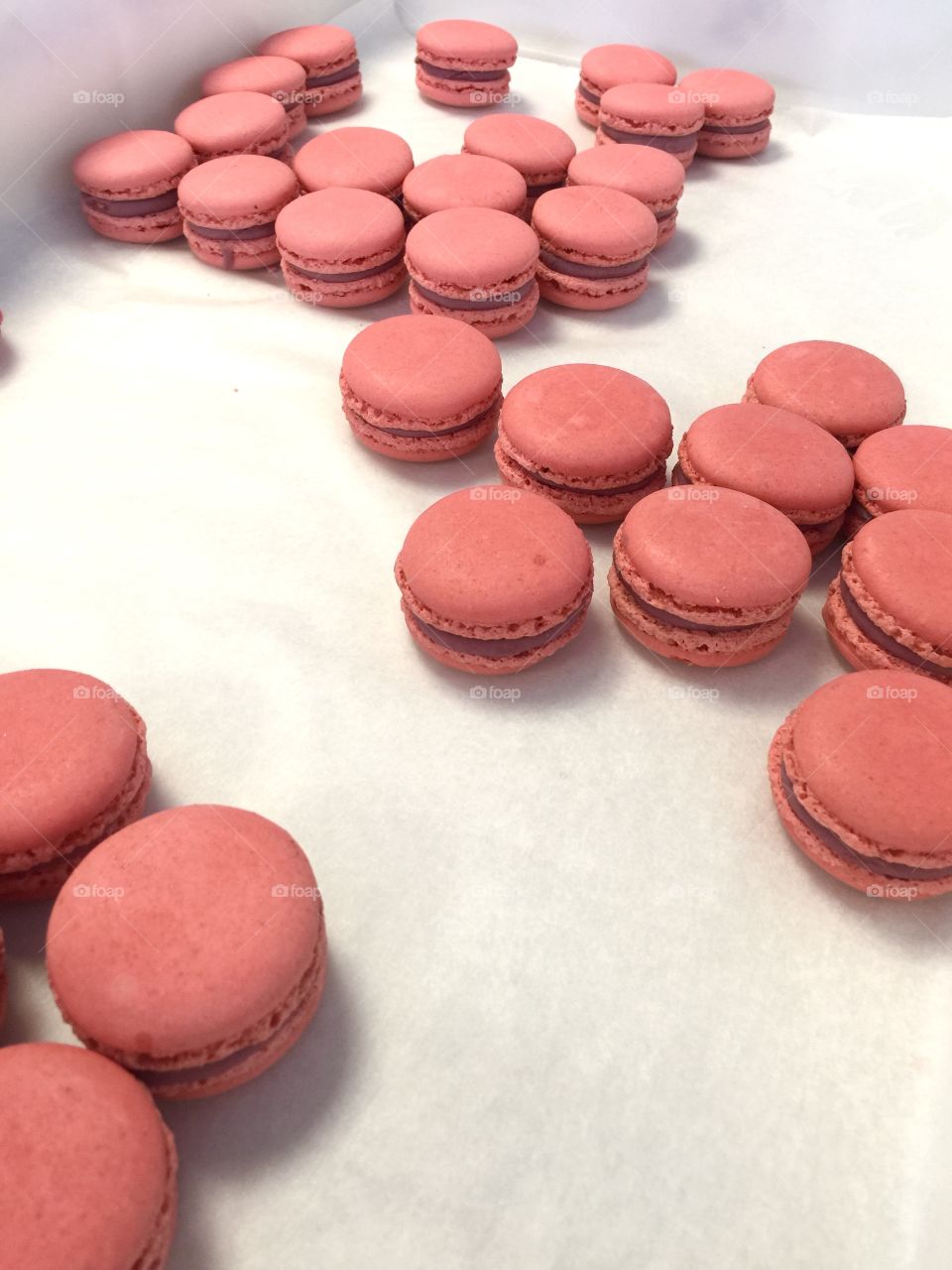 The macarons 