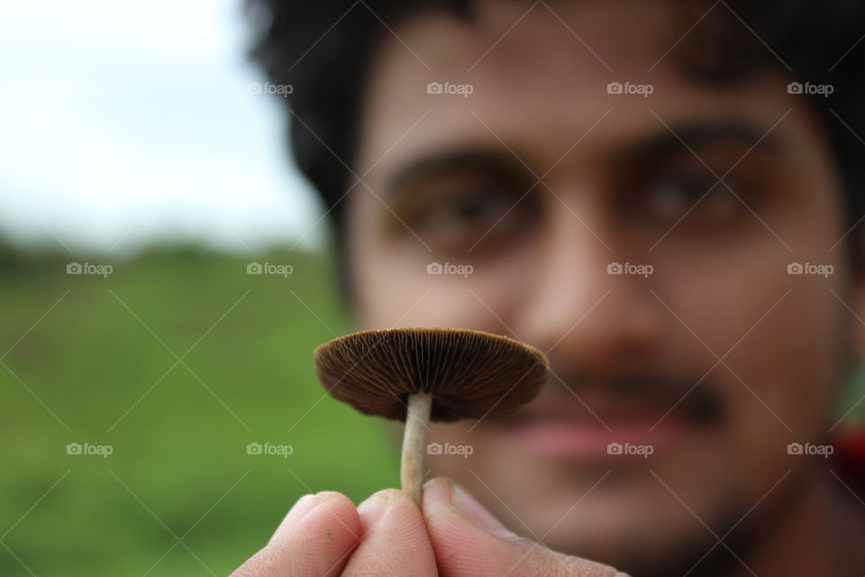 mushroom